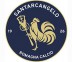 Under17 - santarcangelo - promosport 8-0