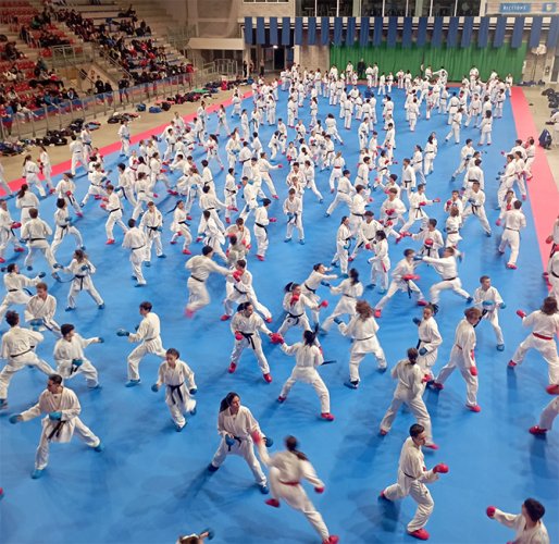 I 1000 del karate: seminario della nazionale italiana al Playhall di Riccione