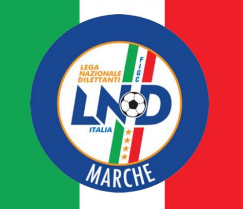 Il nuovo programma gare