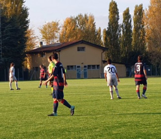 Bologna - Vis Civitanova 8-0 (6-0 pt)