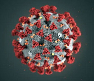 Campi chiusi a Piacenza: allarme Corona Virus