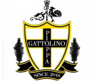 Il GS Pioppa-Gattolino torna a sudare