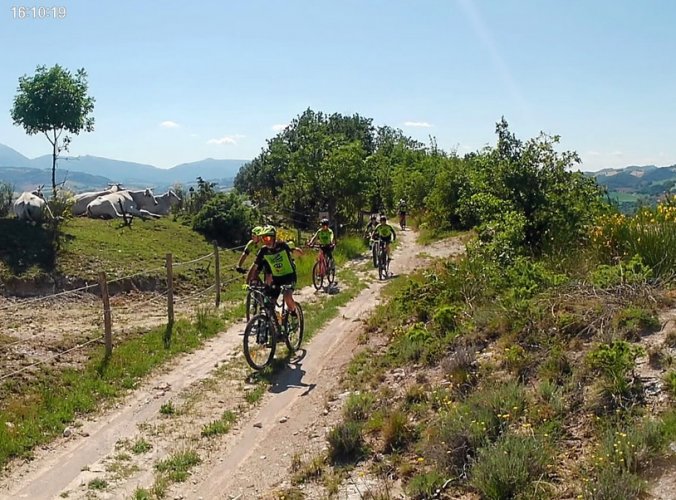 A Pergola torna la Ciclopolverosa di Montesecco