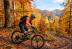 L'autunno del biker: perch� la MTB � la bici perfetta per non fermarsi mai