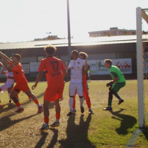 Fidenza - Ziano 1-1