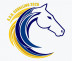 On line la rosa 2026-2027 della A.S.D. Cavallino