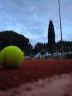 Macina risultati il torneo Open del Ct Venustas