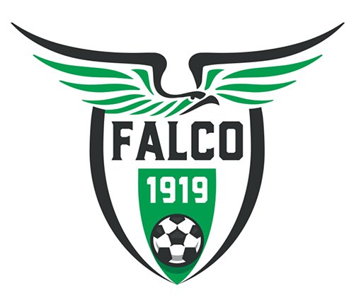 On line la rosa 2019-2020 della A.S.D. Falconarese 1919
