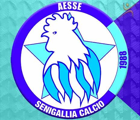 Il Senigallia Calcio presenta il nuovo staff