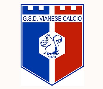 On line le foto 2019-2020 della Vianese Calcio G.S.D.