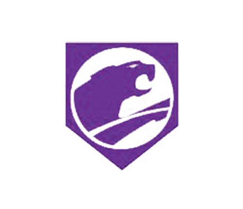 On line le foto 2018-2019 della Viola 1998