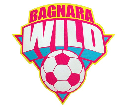 Pubblicata la rosa dell'ASD Wild Bagnara 2018-19