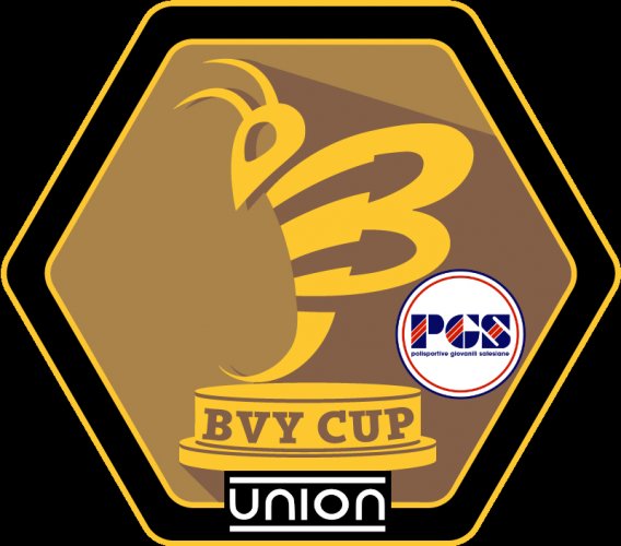 BVOLLEY ROMAGNA: Si annuncia carica di grandi novità la BVY CUP della stagione 2018/2019 !