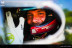 Marcello Razzini  [RALLY - CIAR]: Razzini in versione inedita al Sanremo