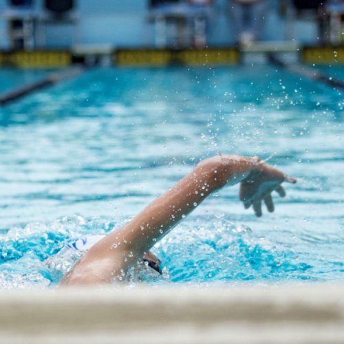 Stadio del Nuoto di Riccione: in partenza i Campionati Assoluti di fondo e Assoluti di nuoto