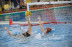 Como Nuoto  10  Rari Nantes Bologna  5