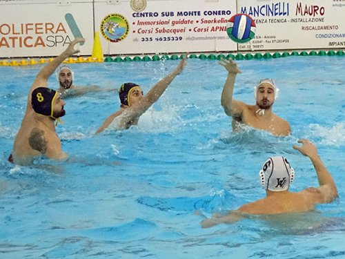 Pallanuoto A1 maschile - La Barbato Design Vela Ancona cede al Torino