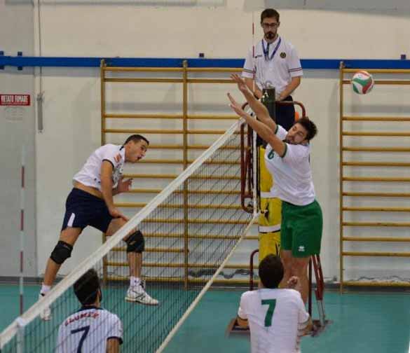 Foris Index Cm Glomex Conselice-Massa 1-3