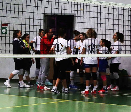 Csi Clai Imola: Buon test con Cesena