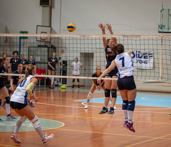 Olimpia Teodora - Fenix Faenza 3-0