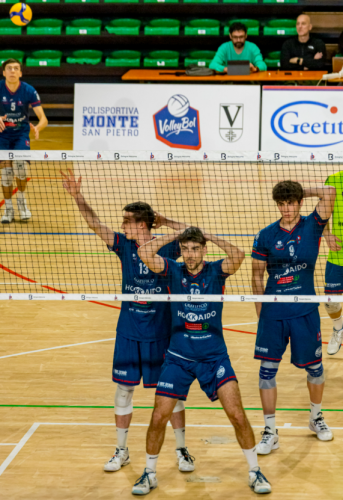 Il cammino di Pallavolo Bologna continua: sabato ospiti della Cremonese
