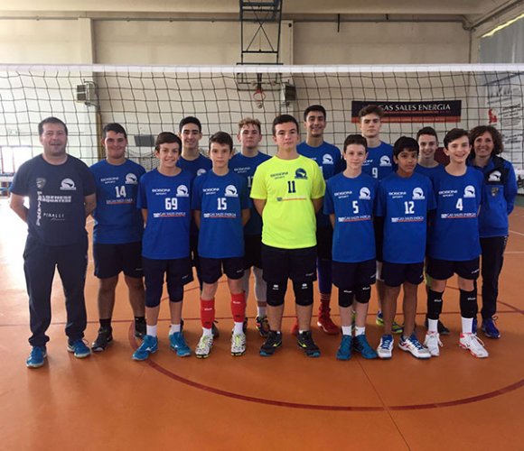 Bilancio formazioni giovanili e seniores dell'Alsenese Pallavolo