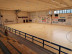 Volley B2 femminile, la  -  casa -  della Pallavolo Alsenese si rifà il look: pavimentazione in legno