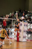 FOS Centro Volley Reggiano  , al centro ecco Sara Reverberi e Agnese Attolini