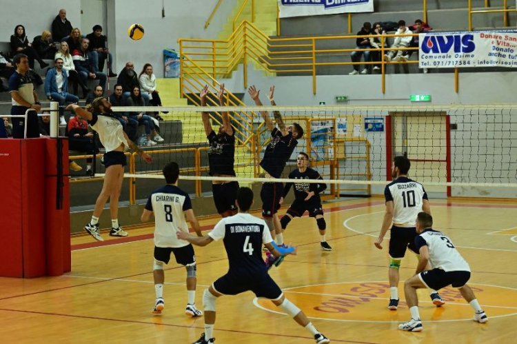 LA NEF Volley Libertas Osimo  impegnata nel derby contro la Bontempi Begin  Hotels Ancona