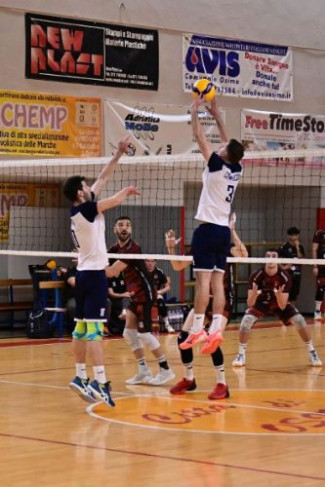 La Nef Re Salmone Volley Libertas Osimo nelle mani di capitan Cremascoli