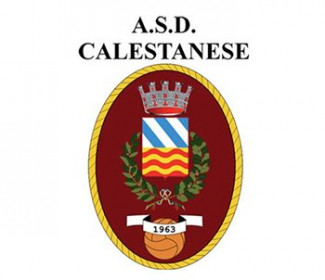 On line la rosa 2019-2020 della Calestanese A.S.D.