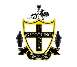 Pubblicata la rosa 2020-21 dell'A.S.D. G.S. Pioppa Gattolino