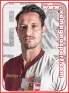 Andrea Petrelli / Centrocampista Fidentina