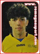 Samuele Faella