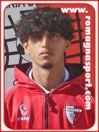 Mahdi Amira