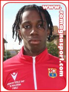Hulderic Ake N'cho