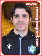 Andrea Sartini