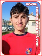 Francesco D'Aloiso