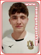 Andrea Mattioli