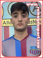 Andrea Gaudiano